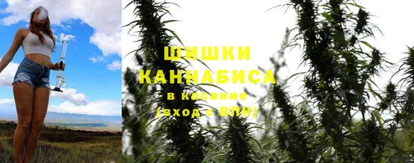 крисы Слюдянка