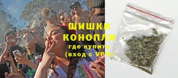 индика Семёнов