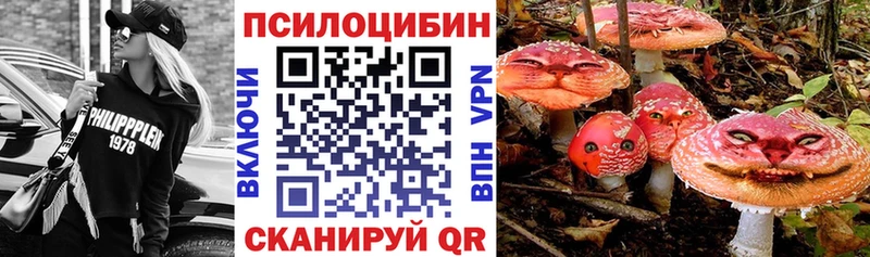 Галлюциногенные грибы мухоморы Кондопога